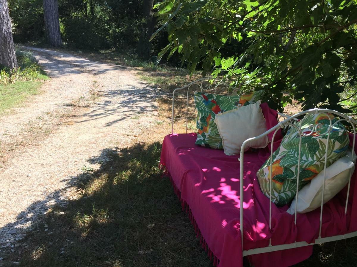 Les Volets Lavande Aubignan Zewnętrze zdjęcie